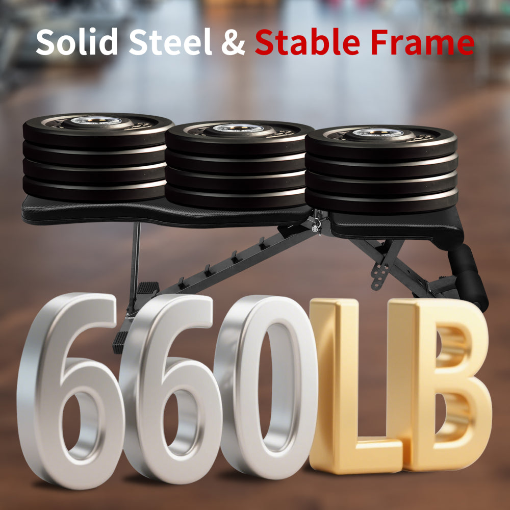 Belastbarkeitstest: Massiver Stahlrahmen trägt Gewichte bis zu 660LB (ca. 300kg).