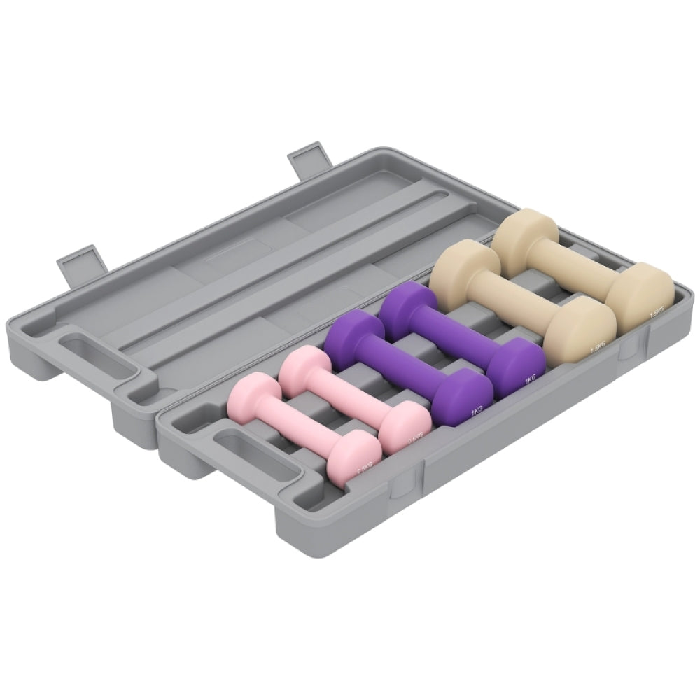 Lieferumfang: Grauer Transportkoffer mit 6 farbigen Gewichten