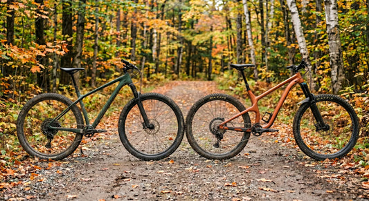 Hardtail oder Fully Mountainbike im Vergleich nebeneinander auf Waldweg