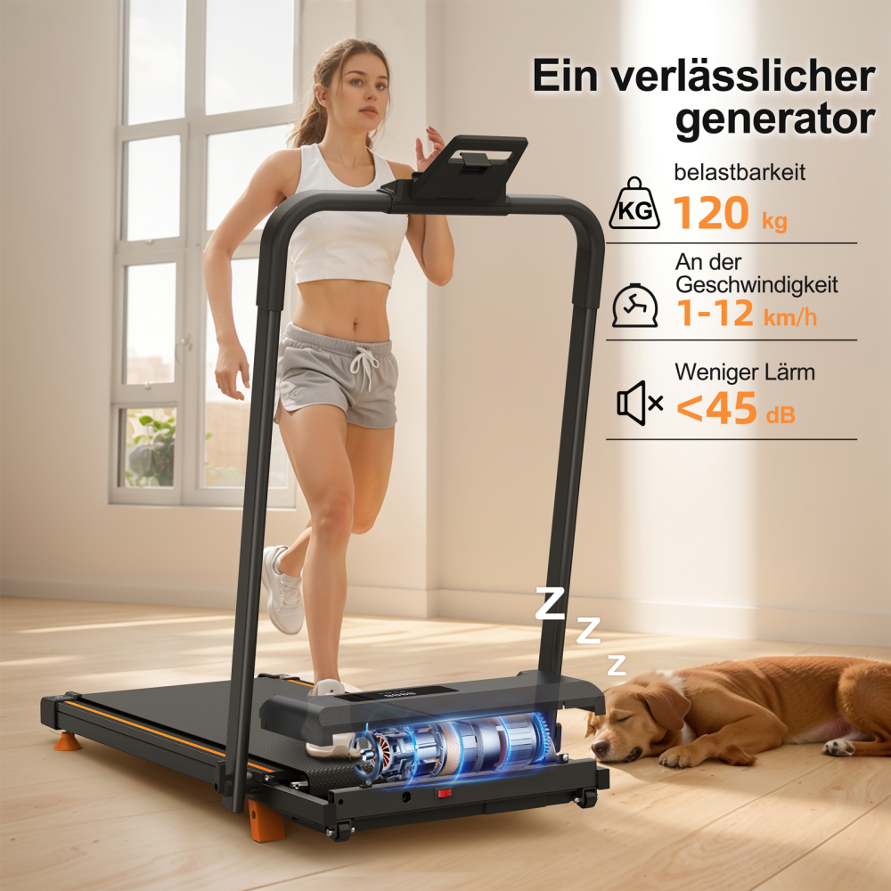 W500 2,5 PS Motor – 120 kg Tragkraft und unter 45 dB für leises Heimtraining