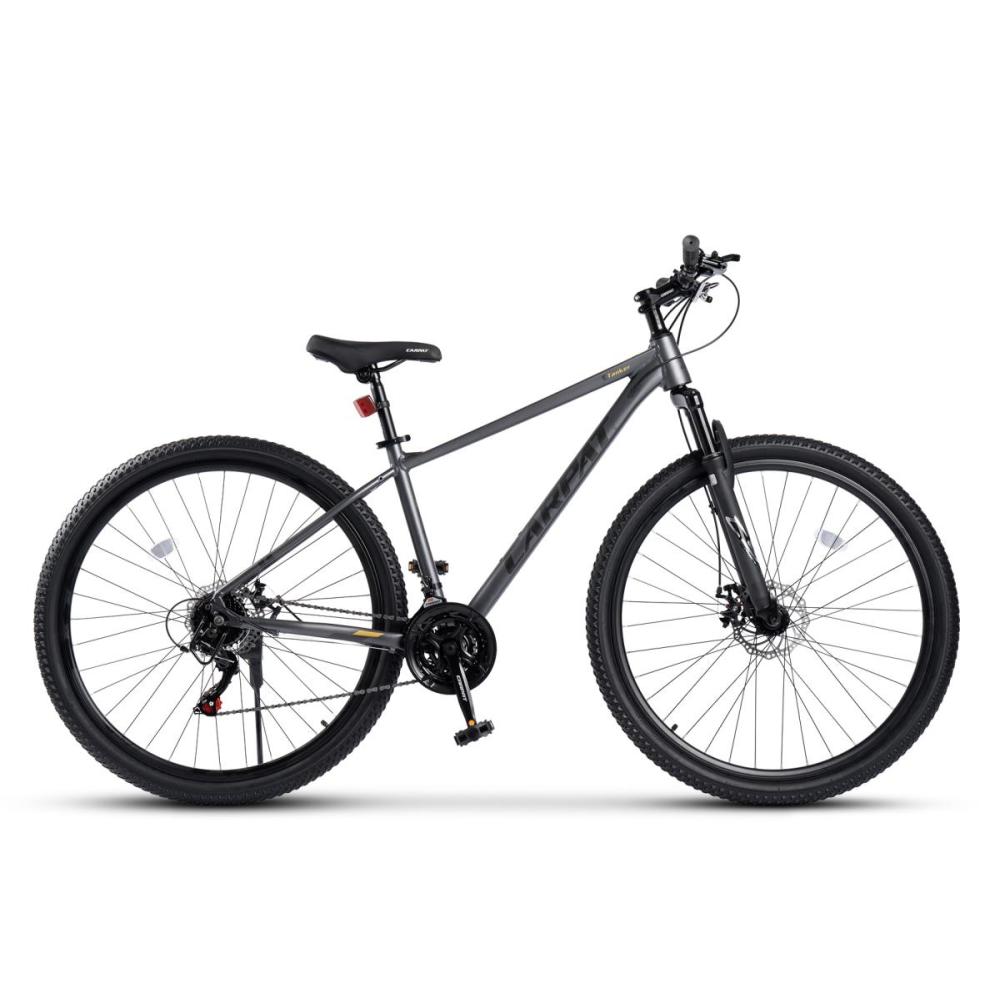 29 Zoll MTB Hardtail in schwarz-grau, Vorderansicht im leichten Winkel
