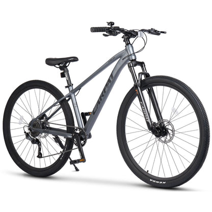 Mountainbike 29 Zoll Hardtail Grau mit Aluminiumrahmen & Hydraulikbremsen – F103 Premium