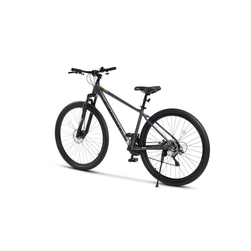 29 Zoll Mountainbike in Rückansicht mit Hardtail-Rahmen und Tourney-Schaltung