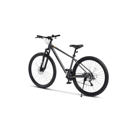 29 Zoll Mountainbike in Rückansicht mit Hardtail-Rahmen und Tourney-Schaltung