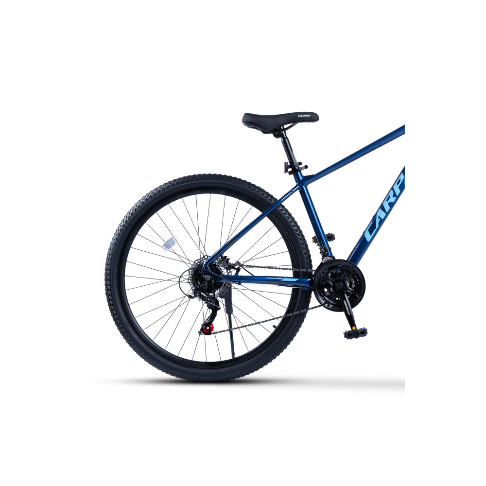 Blaues 29 Zoll Mountainbike Hardtail in hinterer Schrägansicht mit Tourney Schaltwerk
