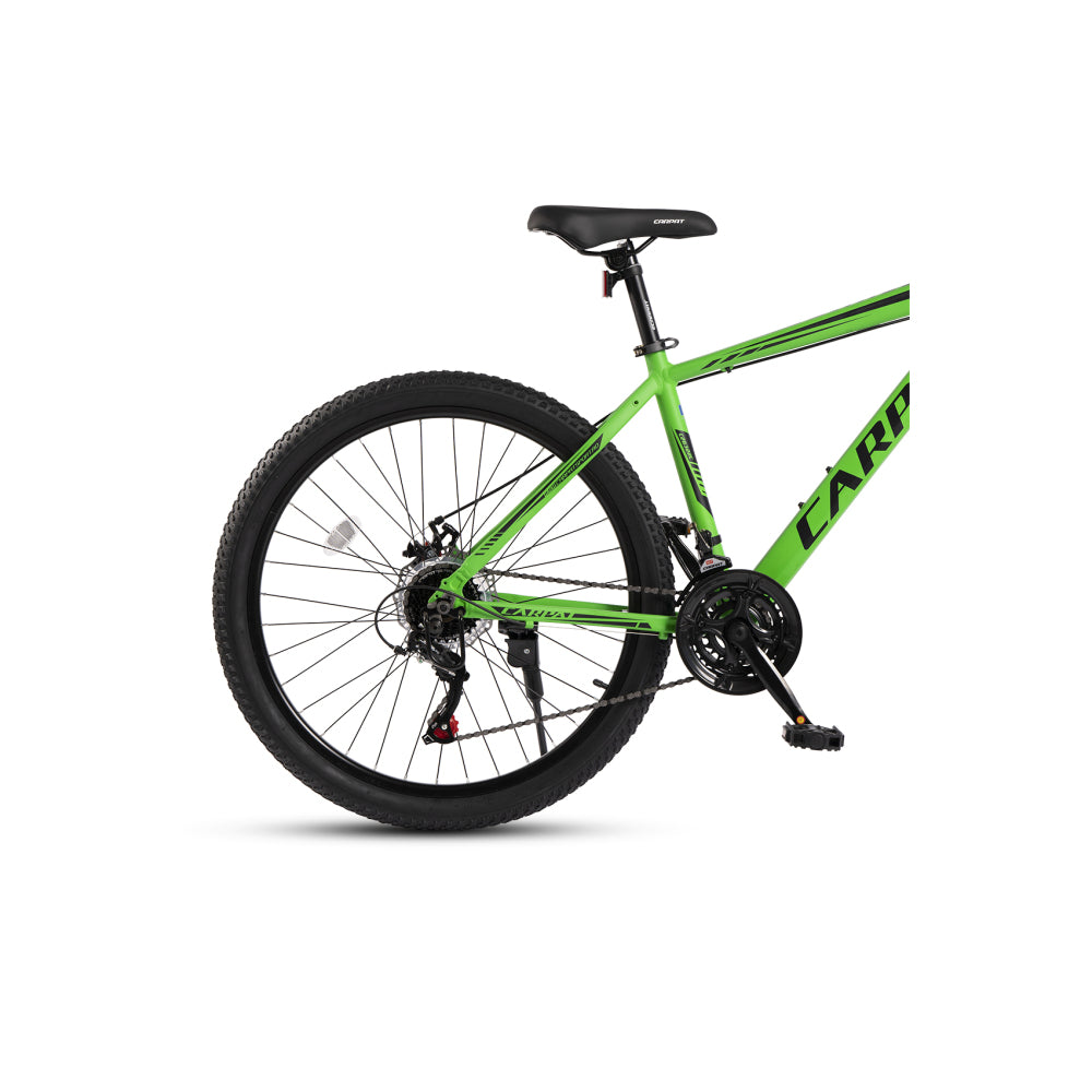 Detailaufnahme des 7-fach Schaltwerks (Teil des 21-Gang Systems)