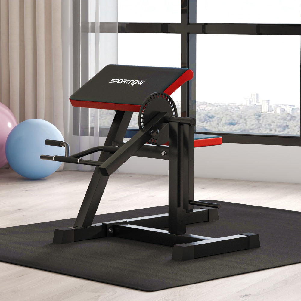 Fitnessgerät im Raum: Curl-Bank mit Hantelscheiben-Aufnahme auf einer Schutzmatte.