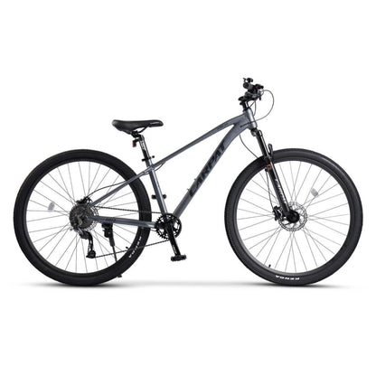 Grau-schwarzes 29 Zoll MTB in Linksansicht mit 80mm Federgabel und 1x9 Antriebssystem