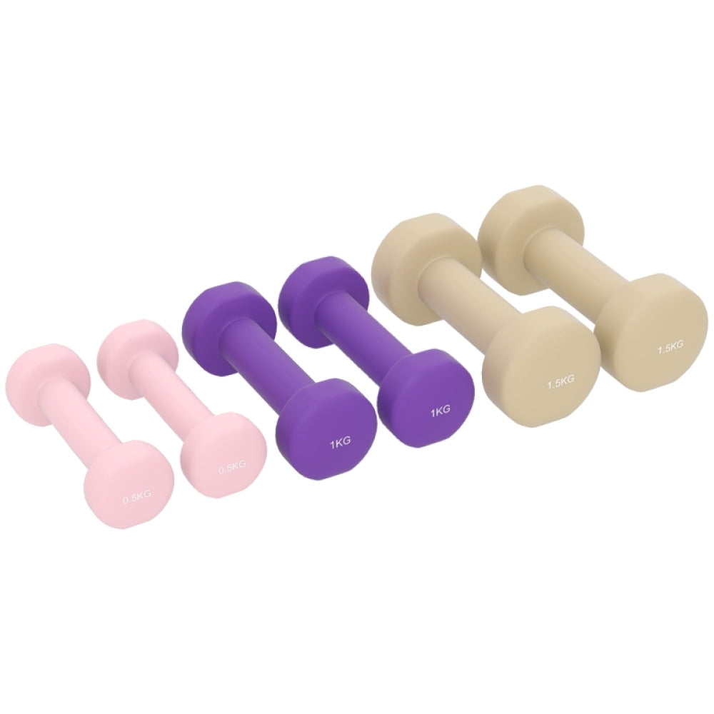 Hantelset 6er Set: Leichte Gewichte 0,5kg, 1kg, 1,5kg in Pastellfarben