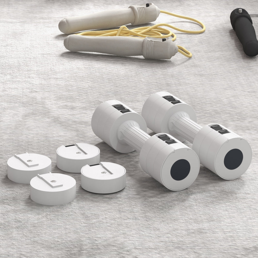 Home Gym Equipment: Hantelset und Springseil auf dem Teppich