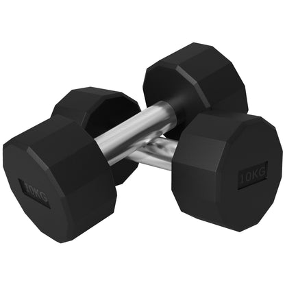 Kurzhanteln 2er Set 20kg: Zwei 10kg Hanteln mit 12-eckiger Form