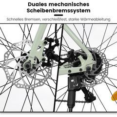 Mechanisches Doppelscheibenbremssystem für zuverlässige Bremskraft bei jedem Wetter.