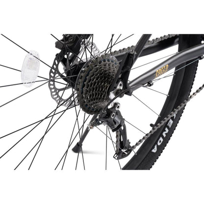 Nahaufnahme der Kassette und Kette des 1x9 Schaltsystems am schwarz-goldenen MTB