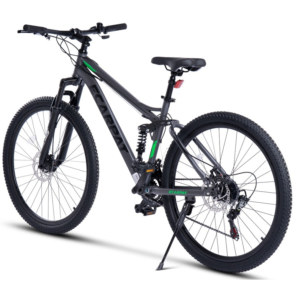 Rückansicht des Bikes mit gefedertem Hinterbau, Seitenständer und Scheibenbremse.