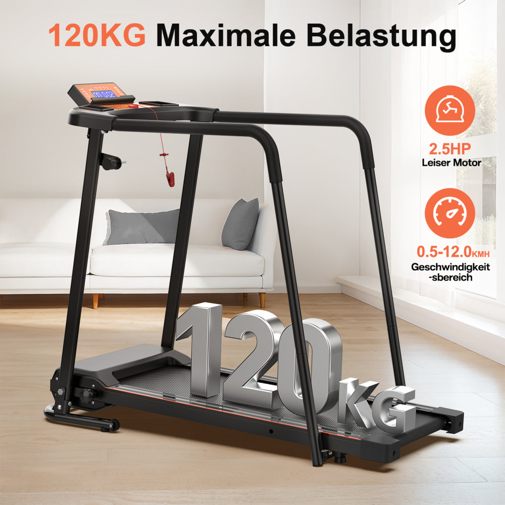 S100 Senioren Laufband 120 kg Maximale Belastung – Motordetails